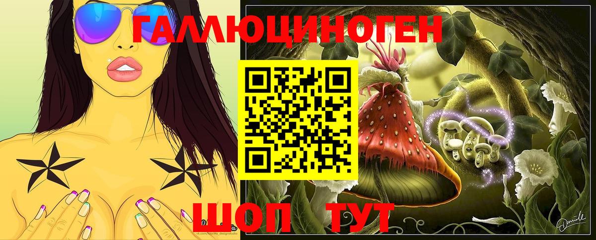 Псилоцибиновые грибы Psilocybe Великий Устюг